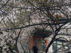 -上海黄浦旅游集散站售票处