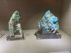 -陕西自然博物馆