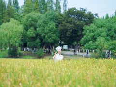 -乌村