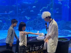 -顺德南宏海立方海洋公园