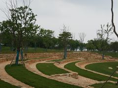 -盘龙城国家考古遗址公园