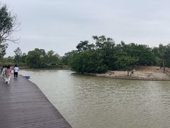 -盐城丹顶鹤湿地生态旅游区