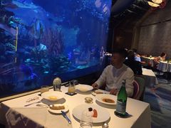 -迪拜帆船酒店海底餐厅
