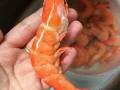 -霸王虾·麻辣小龙虾(清水河公园店)