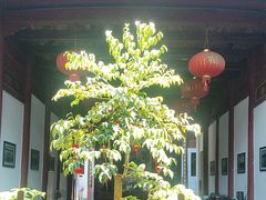 -董府·古宅餐厅