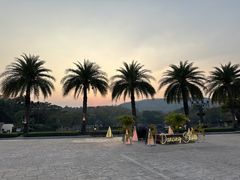 -清迈夜间动物园