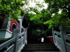 -佛慧山