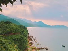-杨梅坑