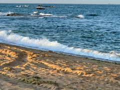 -前王院•巧克力海鲜市集餐厅(万平口店)