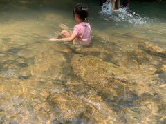 -广州白江湖森林公园