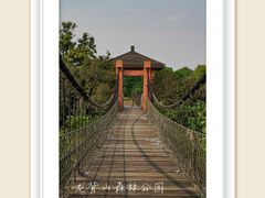-宜兴龙背山森林公园