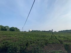 -南京市江宁方山