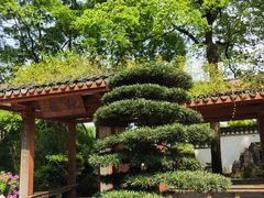 -南山植物园
