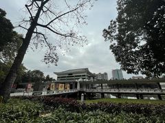 -荔湾湖公园
