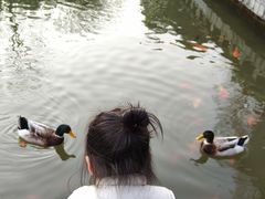 -天目湖涵田半山温泉