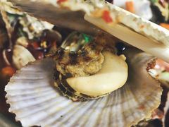 -桔子海鲜烧烤大排档(台东店)