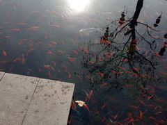 -水磨沟公园