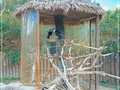 -上海野生动物园