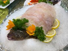 鸦片鱼鱼生-平壤馆(西塔街店)