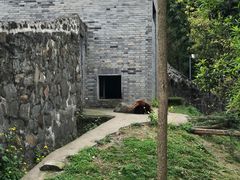 -都江堰中华大熊猫苑