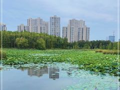 -昆山城市生态森林公园