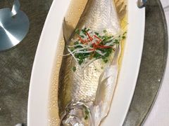 苏帮清蒸白鱼-苏帮袁Sue Cuisine(来福士店)
