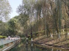 -长白岛森林公园