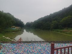 -洪崖丹井