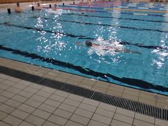 -小海豚国际游泳培训中心(浦东源深体育中心店)