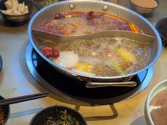 -手选潮汕鲜活牛肉火锅(二七广场店)