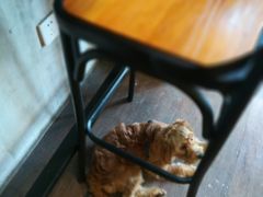 -窑滚面包专门店(马鞍山金鹰店)