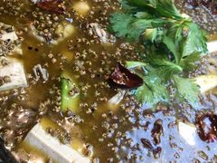 -开门红美蛙自助鱼(浪琴屿店)