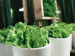 -韩聚屋韩国烤肉餐厅(新北万达店)