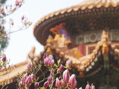 -故宫博物院(故宫)