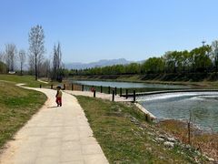 -洨河生态公园