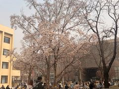 -农园餐厅(北京大学店)