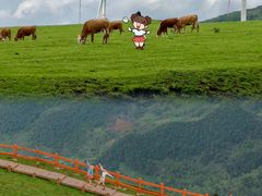 -乌蒙大草原