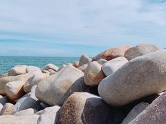 -广东惠东海龟国家级自然保护区