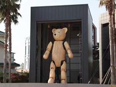 -济州岛泰迪熊博物馆