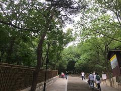 -灵岩山风景区