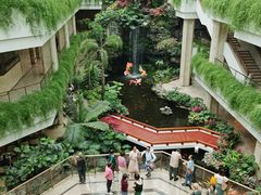 -广州白天鹅宾馆