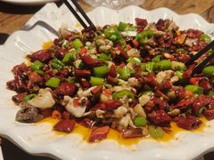 -老号尤兔头(玉堂店)
