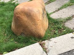 -晓港公园