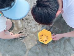 -南汇嘴观海公园