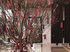 -香港尖沙咀凯悦酒店