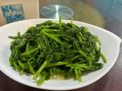 清炒豌豆尖-明婷饭店(外曹家巷店)