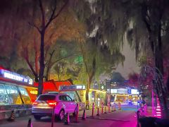 -枫花园汽车电影院(朝阳公园店)