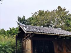 -厦门园林博览苑