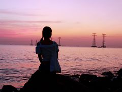 -宝安西湾红树林湿地公园