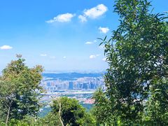 -紫金山山顶公园